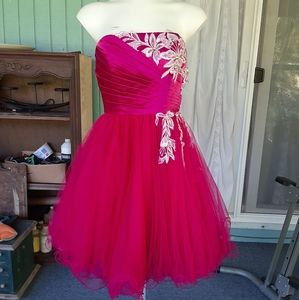 Pink nelson gown Small. Jewels and embroidery